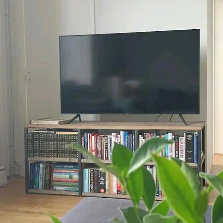 Center - Large 2 Bedroom Apartman Oslo
